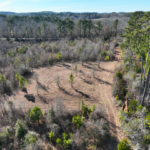 Property photo for land for sale in Cass County Texas