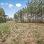 Property photo for land for sale in Simpson County Mississippi