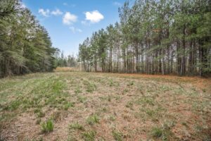 Property photo for land for sale in Simpson County Mississippi