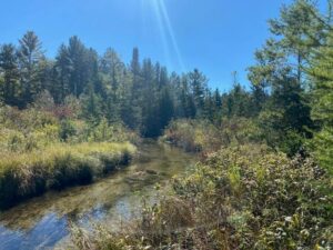 Property photo for land for sale in Montmorency County Michigan