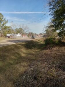 Property photo for land for sale in Jefferson Davis County Mississippi