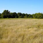 Property photo for land for sale in Lincoln County Oklahoma