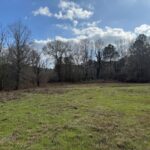 Property photo for land for sale in Cherokee County Texas