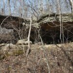 Property photo for land for sale in Shannon County Missouri