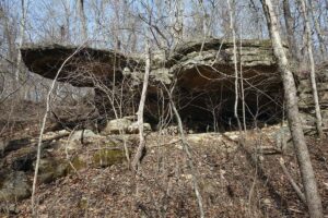 Property photo for land for sale in Shannon County Missouri