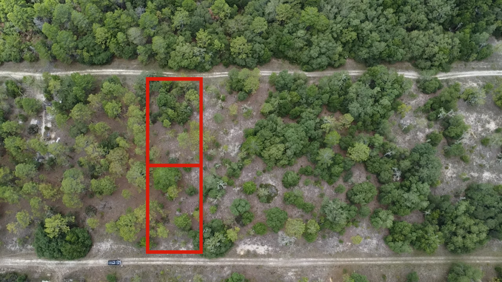 Property photo for land for sale in Levy County Florida