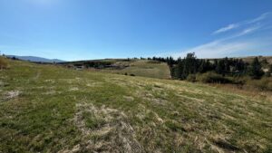 Property photo for land for sale in Idaho County Idaho