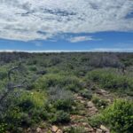 Property photo for land for sale in Dolores County Colorado