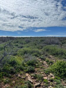 Property photo for land for sale in Dolores County Colorado