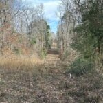 Property photo for land for sale in Cherokee County Texas