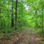 Property photo for land for sale in Casey County Kentucky