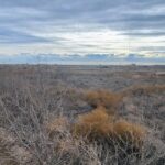 Property photo for land for sale in Reagan County Texas