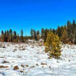 Property photo for land for sale in Clearwater County Idaho