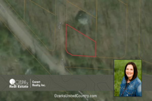 Property photo for land for sale in Taney County Missouri