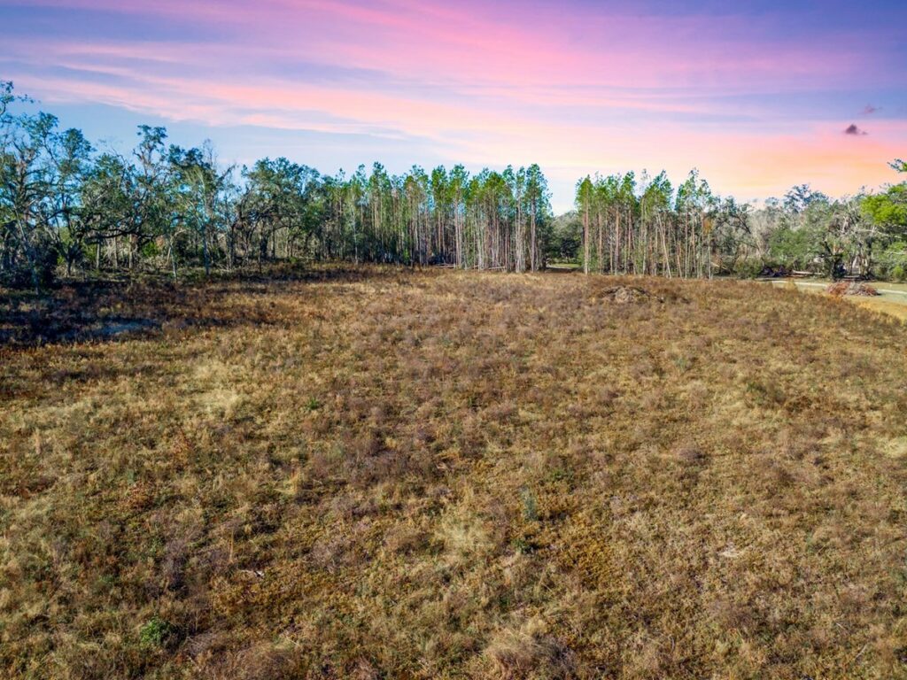 Property photo for land for sale in Madison County Florida