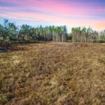 Property photo for land for sale in Madison County Florida