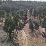 Property photo for land for sale in Latimer County Oklahoma