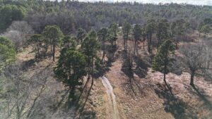 Property photo for land for sale in Latimer County Oklahoma