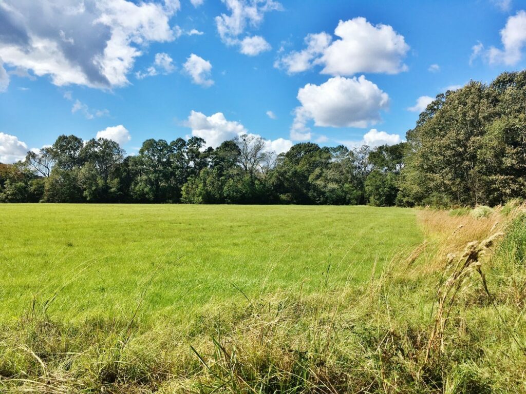 Property photo for land for sale in East Baton Rouge County Louisiana