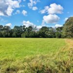 Property photo for land for sale in East Baton Rouge County Louisiana