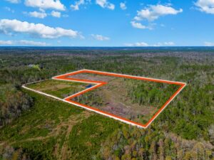 Property photo for land for sale in Suwannee County Florida