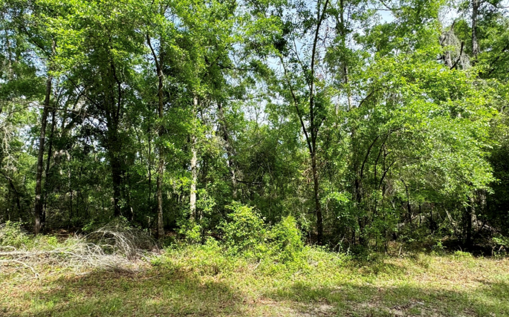 Property photo for land for sale in Hamilton County Florida