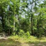 Property photo for land for sale in Hamilton County Florida