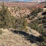 Property photo for land for sale in Rio Arriba County New Mexico