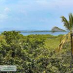 Property photo for land for sale in  County Panama