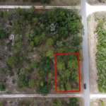 Property photo for land for sale in Levy County Florida