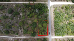 Property photo for land for sale in Levy County Florida