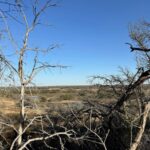 Property photo for land for sale in Brown County Texas