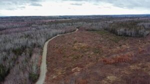 Property photo for land for sale in Washington County Maine