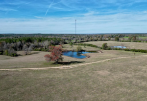 Property photo for land for sale in Pike County Mississippi