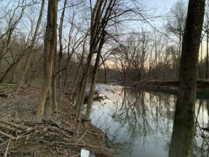 Property photo for land for sale in Casey County Kentucky