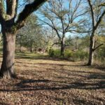 Property photo for land for sale in Lincoln County Mississippi