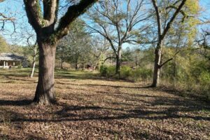 Property photo for land for sale in Lincoln County Mississippi