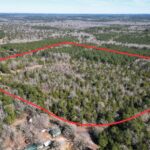 Property photo for land for sale in Cass County Texas