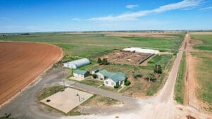 Property photo for land for sale in Lamb County Texas