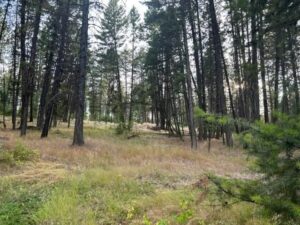 Property photo for land for sale in Sanders County Montana