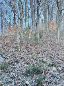 Property photo for land for sale in Claiborne County Tennessee