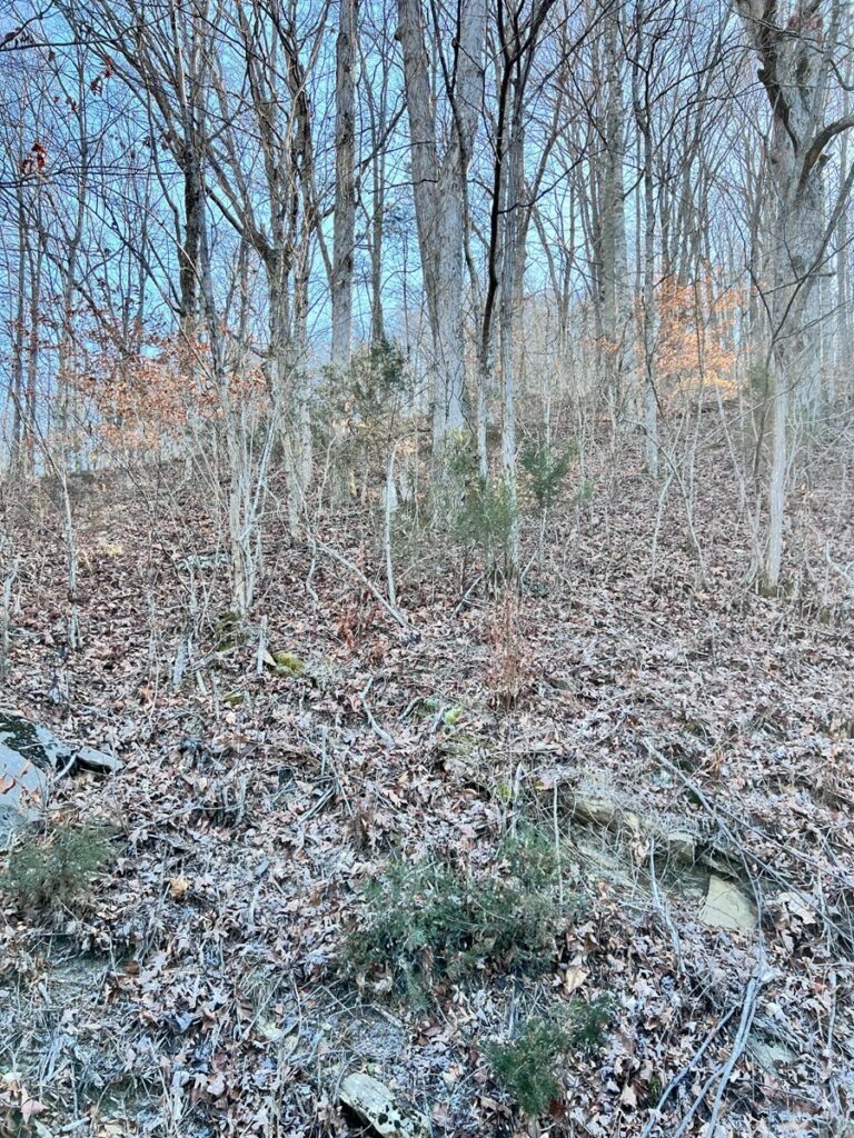 Property photo for land for sale in Claiborne County Tennessee