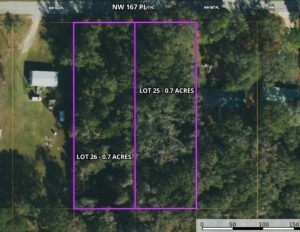 Property photo for land for sale in Levy County Florida