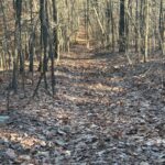 Property photo for land for sale in Talladega County Alabama