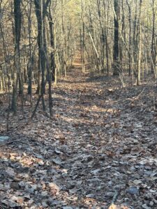 Property photo for land for sale in Talladega County Alabama