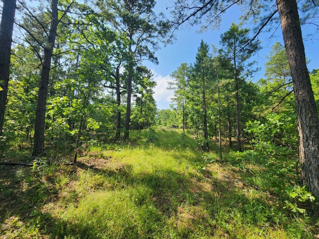 Property photo for land for sale in Le Flore County Oklahoma