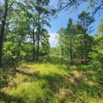 Property photo for land for sale in Le Flore County Oklahoma