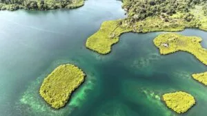 Property photo for land for sale in  County Panama