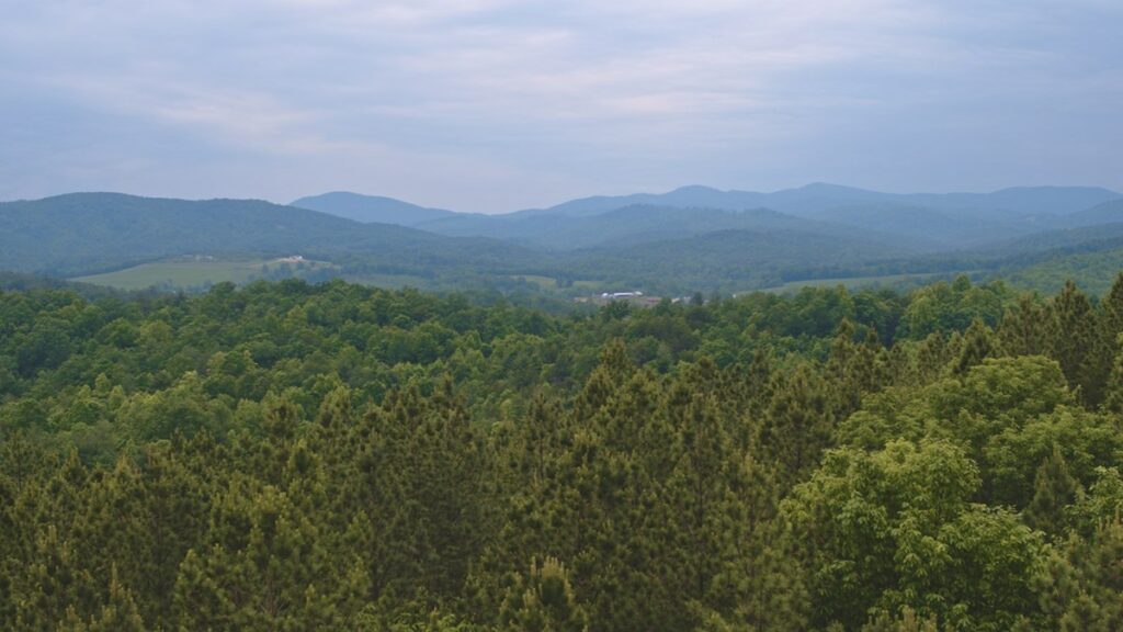 Property photo for land for sale in Alexander County North Carolina