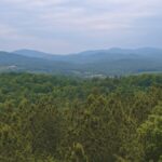 Property photo for land for sale in Alexander County North Carolina